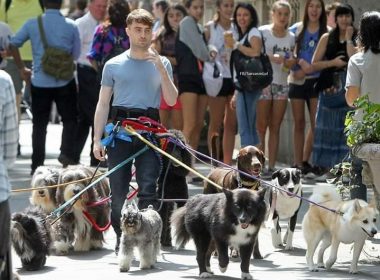 Daniel Radcliffe Net Worth