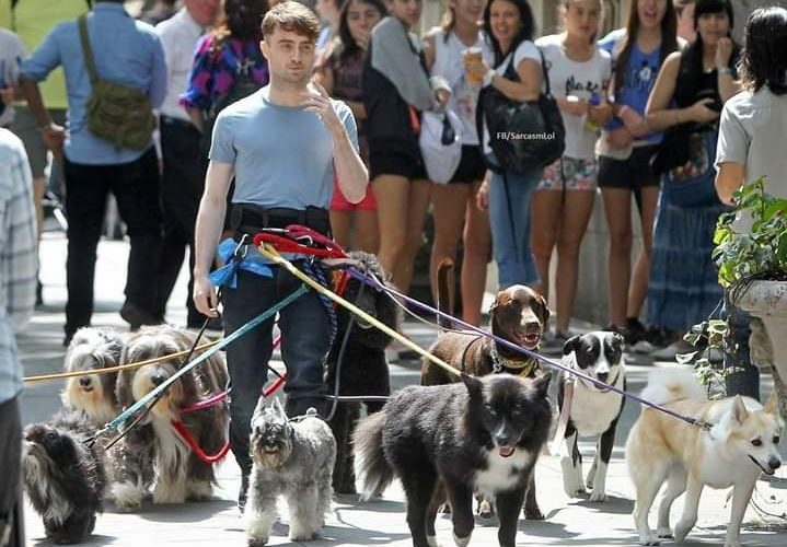 Daniel Radcliffe Net Worth