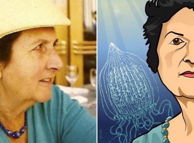 María de los Ángeles Alvariño González biography fabulaes.com