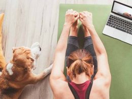 Online Yoga Classes at Their Finest