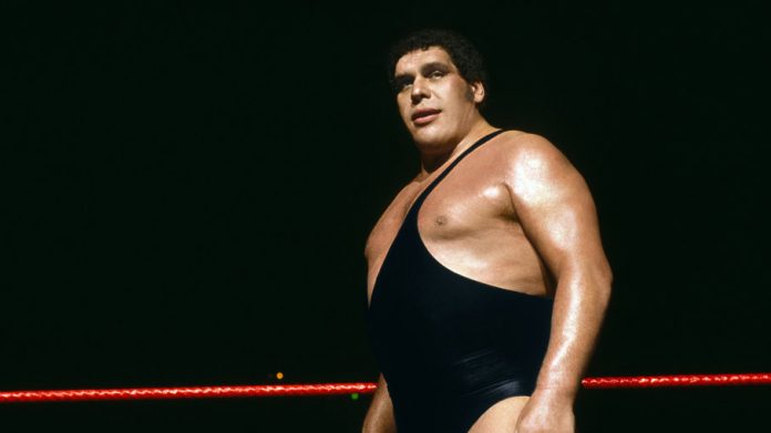 andre-the-giant