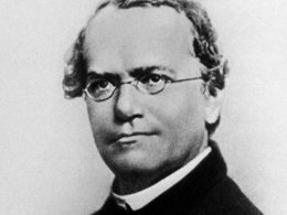 gregor-mendel