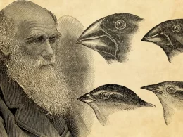 charles-darwin