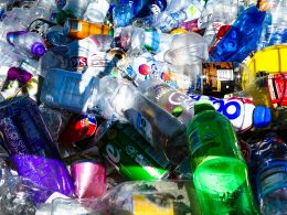 Bottle Recycling