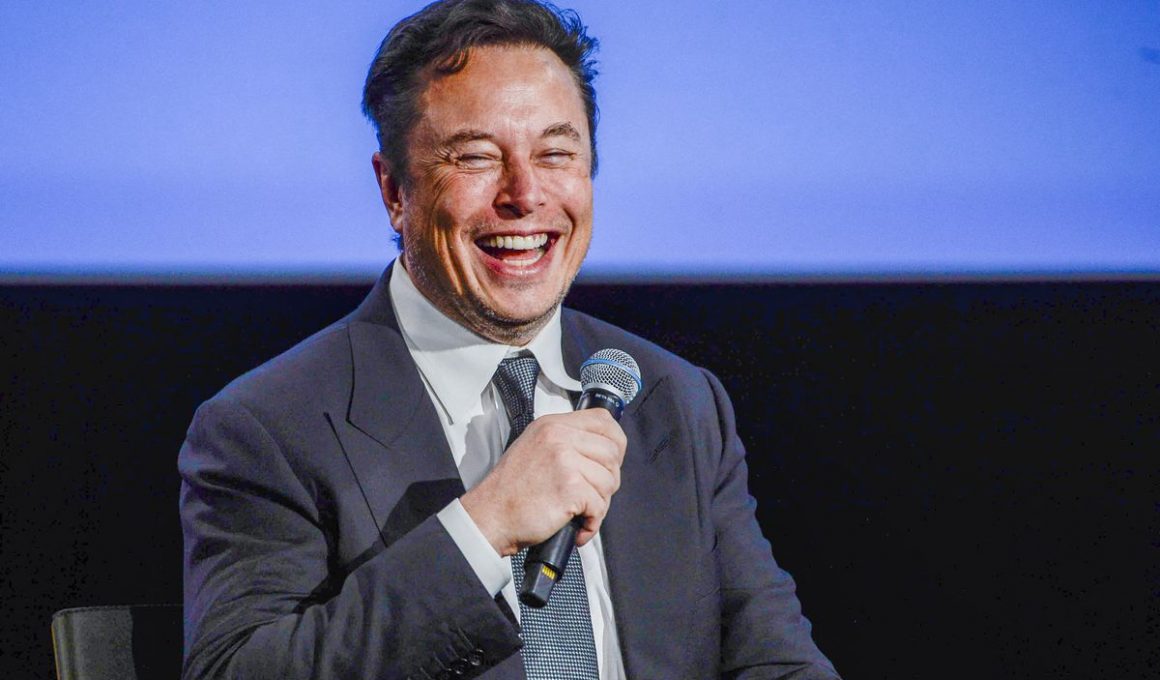 Elon Musk owns Twitter