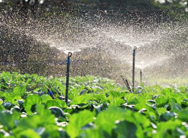 Sprinkler Irrigation And Its Uses
