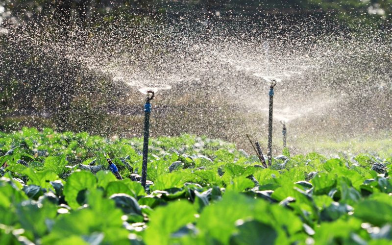 Sprinkler Irrigation And Its Uses