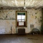 5 Signs Your Home Needs Professional Mold Remediation Services Mold remediation services in New Jersey