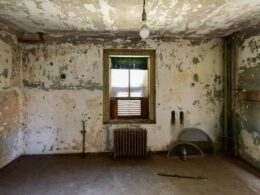 Mold remediation services in New Jersey