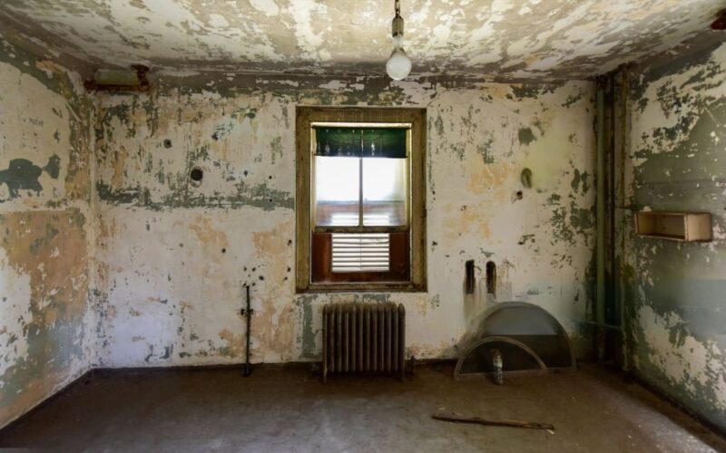 Mold remediation services in New Jersey