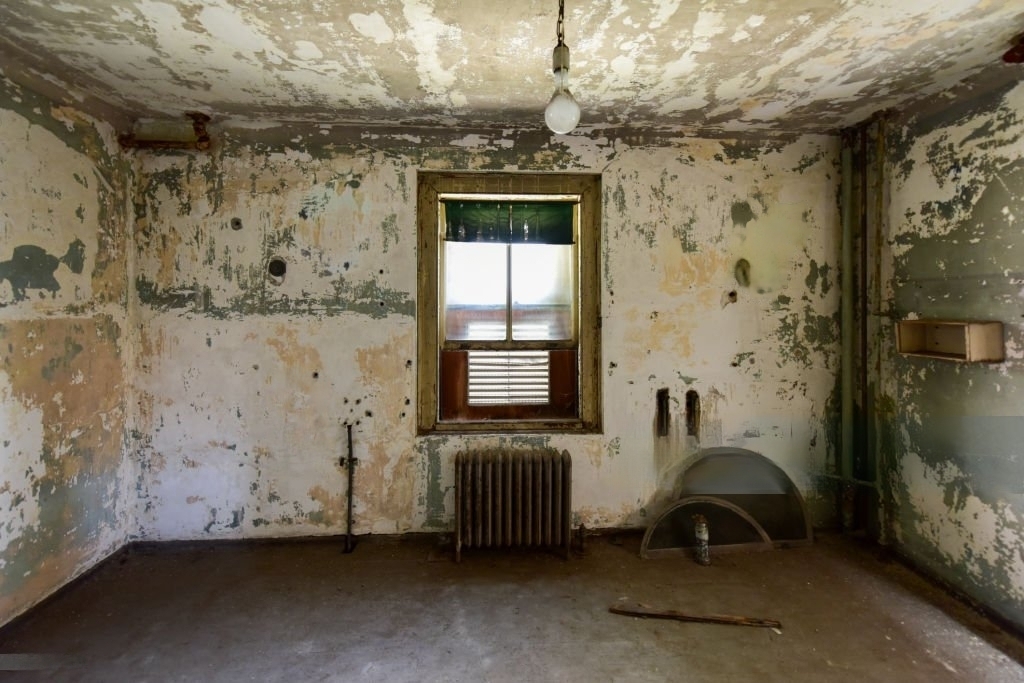 Mold remediation services in New Jersey