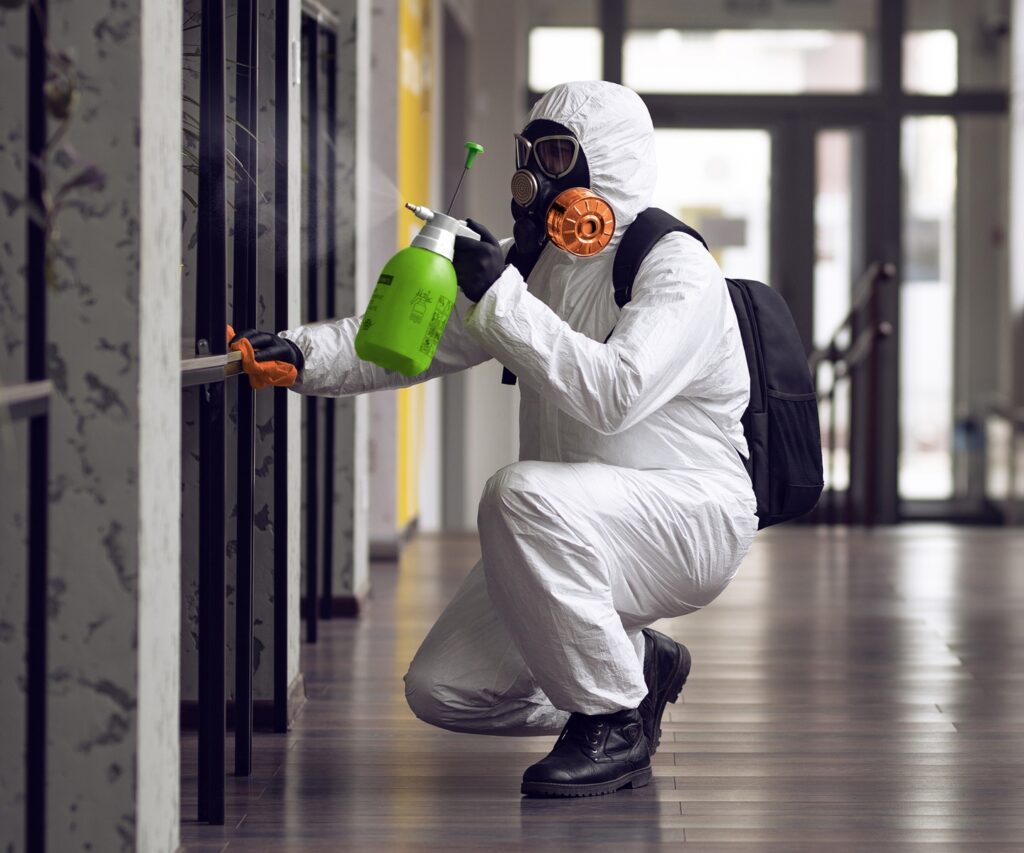 Mold Remediation Services