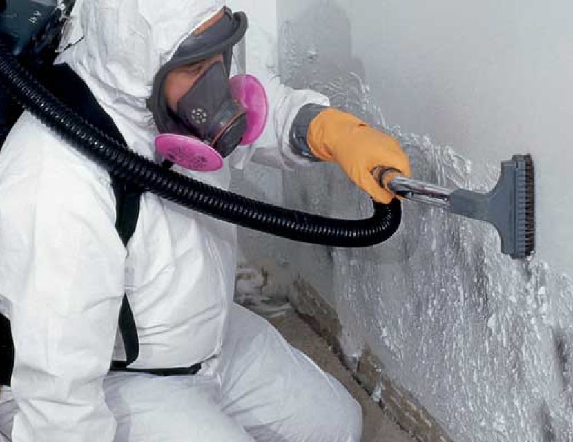 Mold Remediation Services