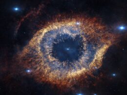 Biocentrism Debunked