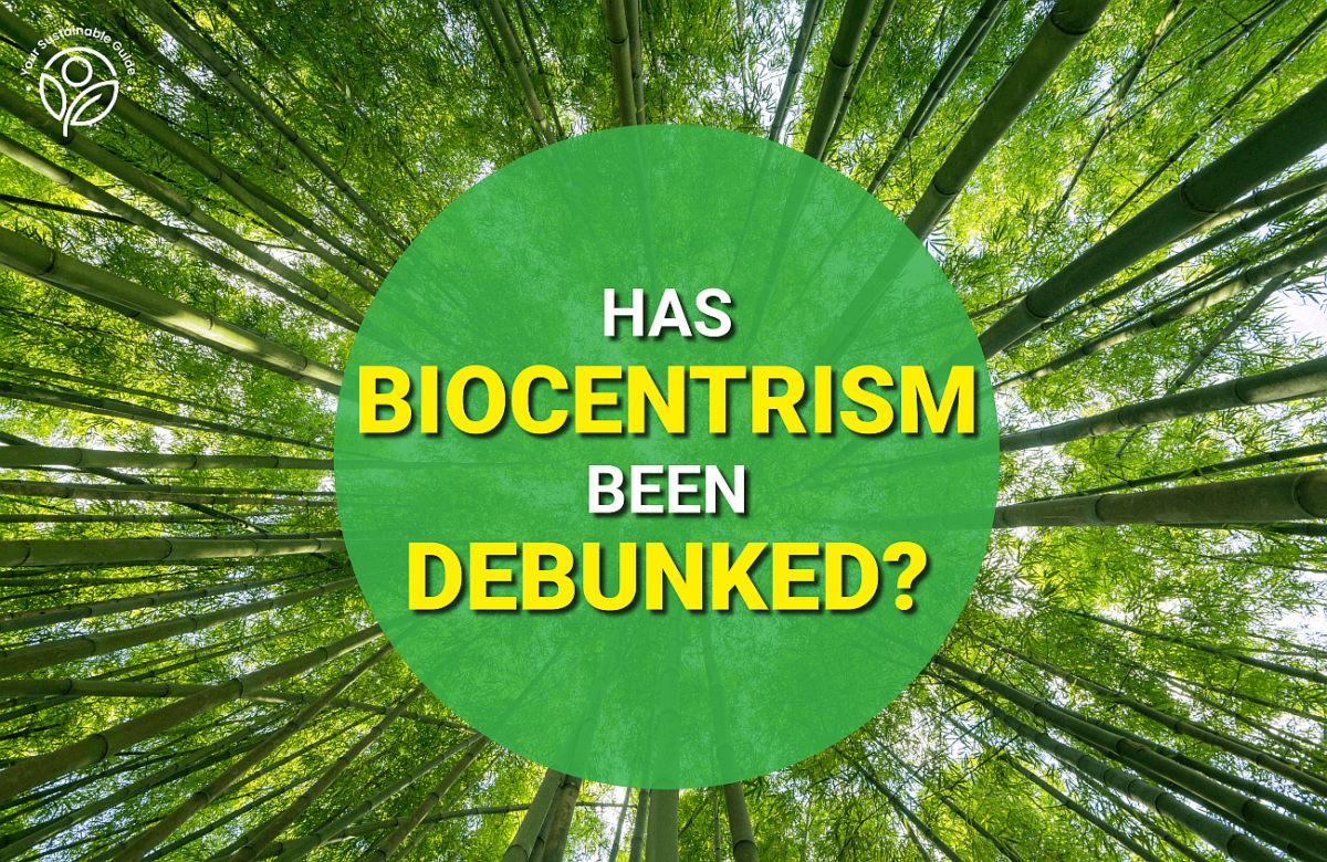 biocentrism debunked