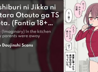 Komik Hisashiburi ni Jikka ni Kaettara Otouto ga Ts Shiteta