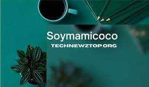 Soymamicoco