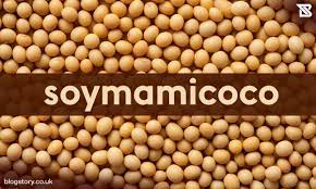 Soymamicoco