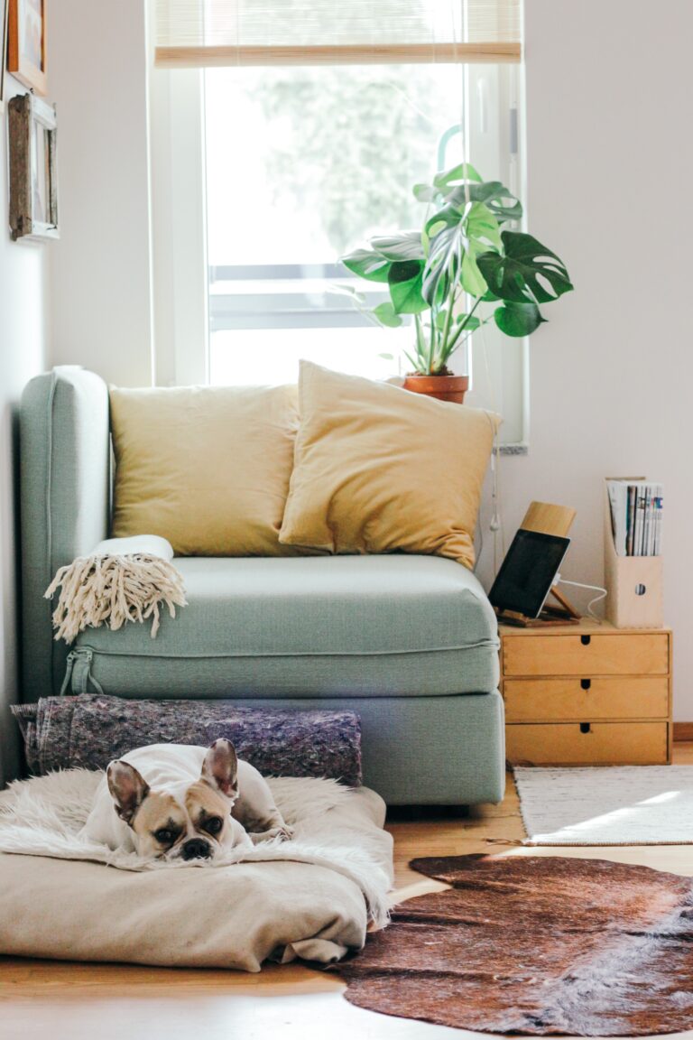 How Fixer to Fabulous Can Inspire You to Revamp Your Living Space
