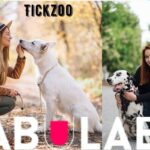 Tickzoo