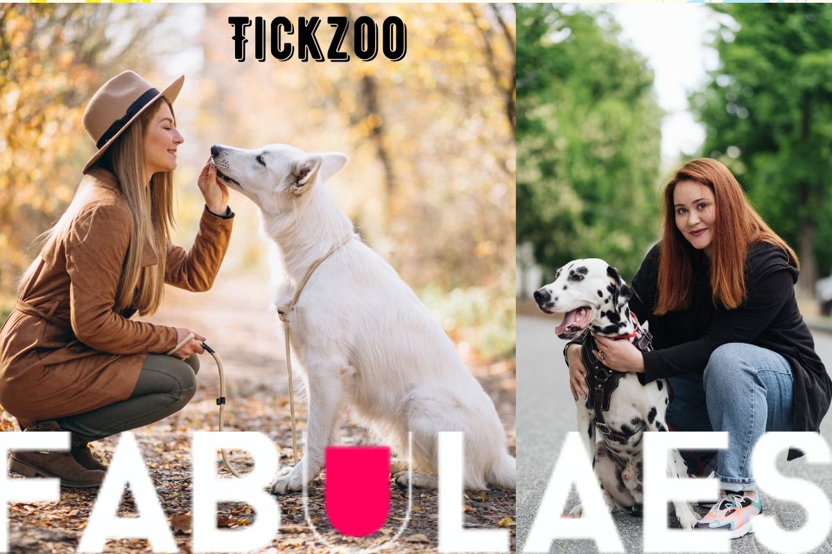 Tickzoo