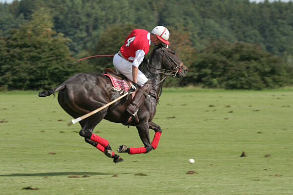 Polo Sport