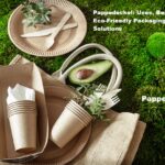 Pappedeckel